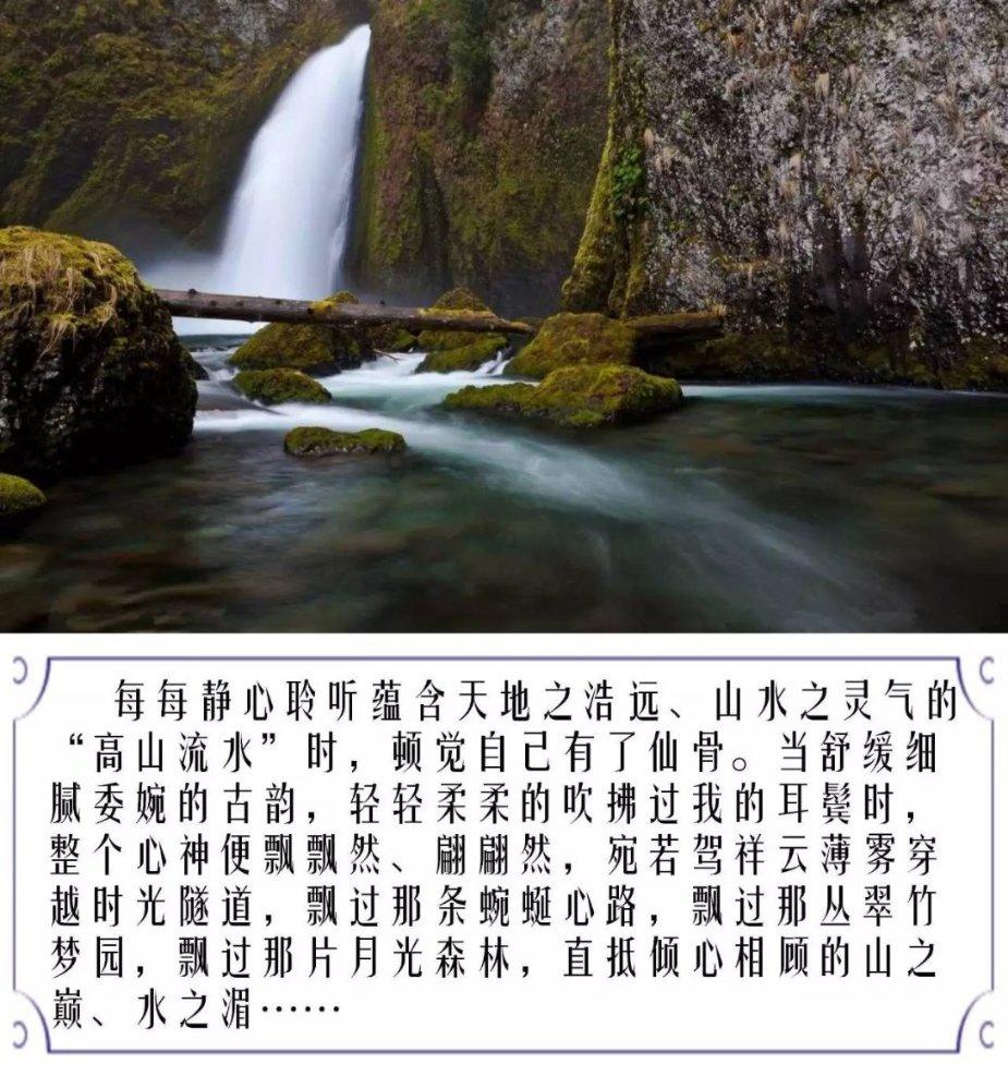 五彩蛇大作战